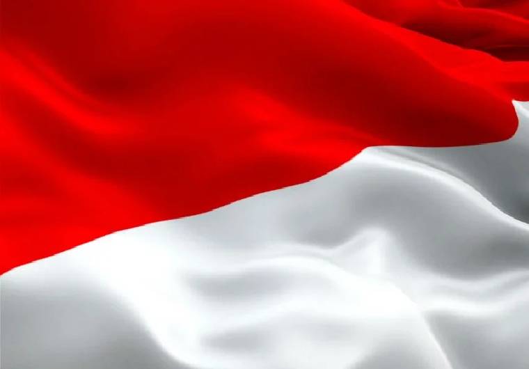 ویزای اندونزی - پرچم